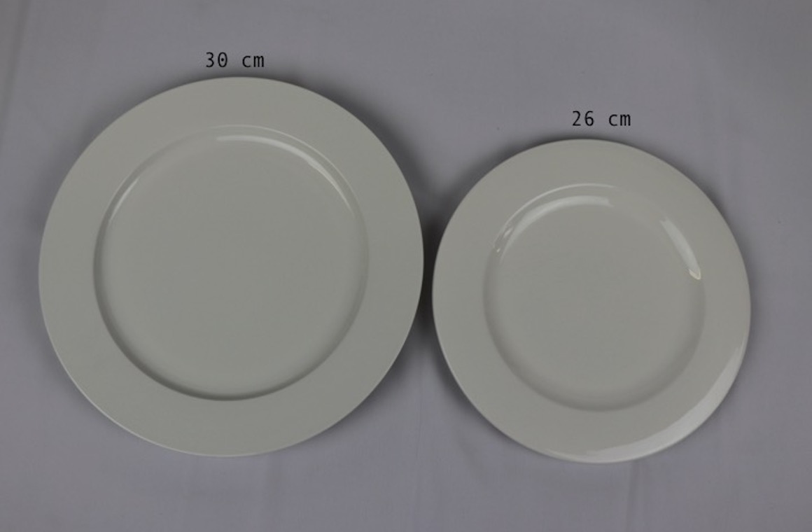 Dinner Plate 30cm