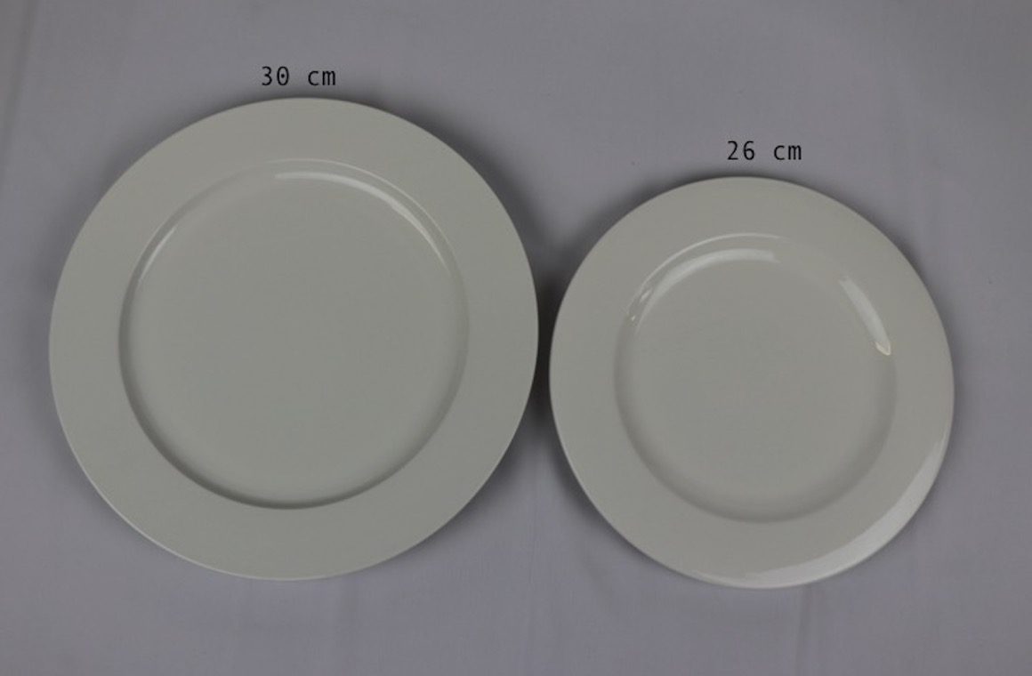 Dinner Plate 26cm