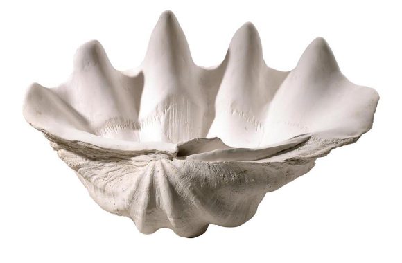 Large Clamshell